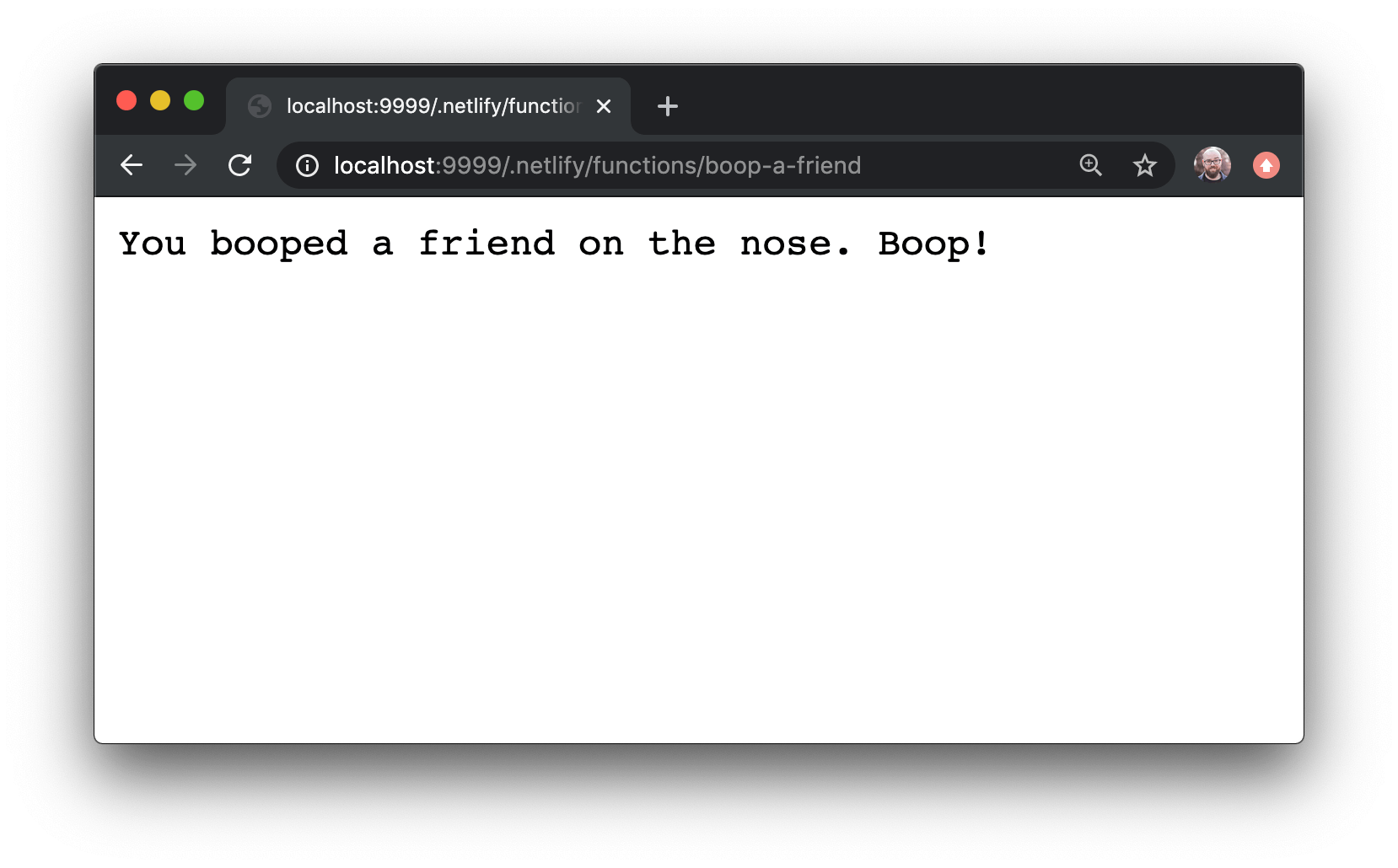 Browser showing output without a query parameter: “You booped a friend on the nose. Boop!”