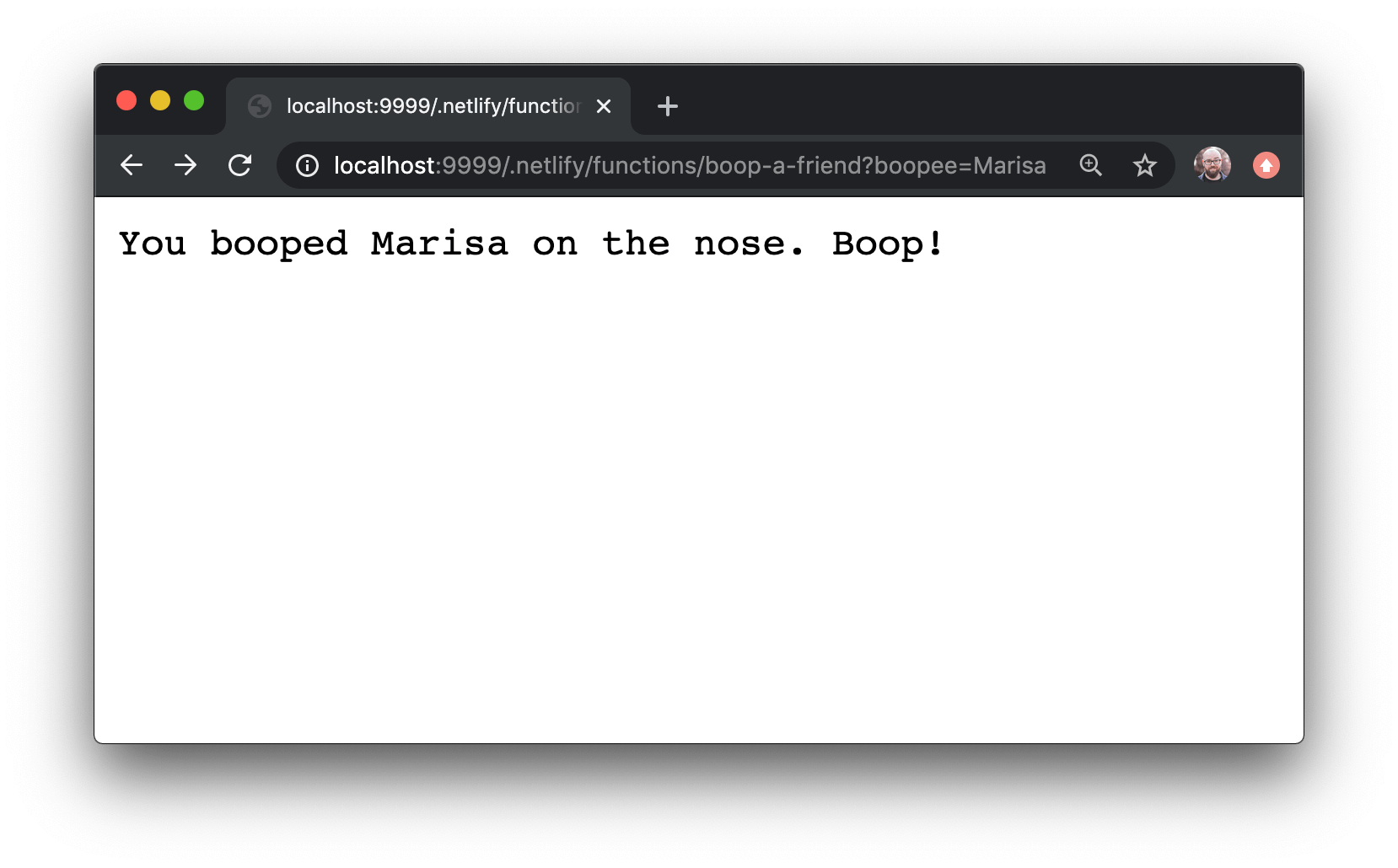 Browser showing output with a query parameter: “You booped Marisa on the nose. Boop!”