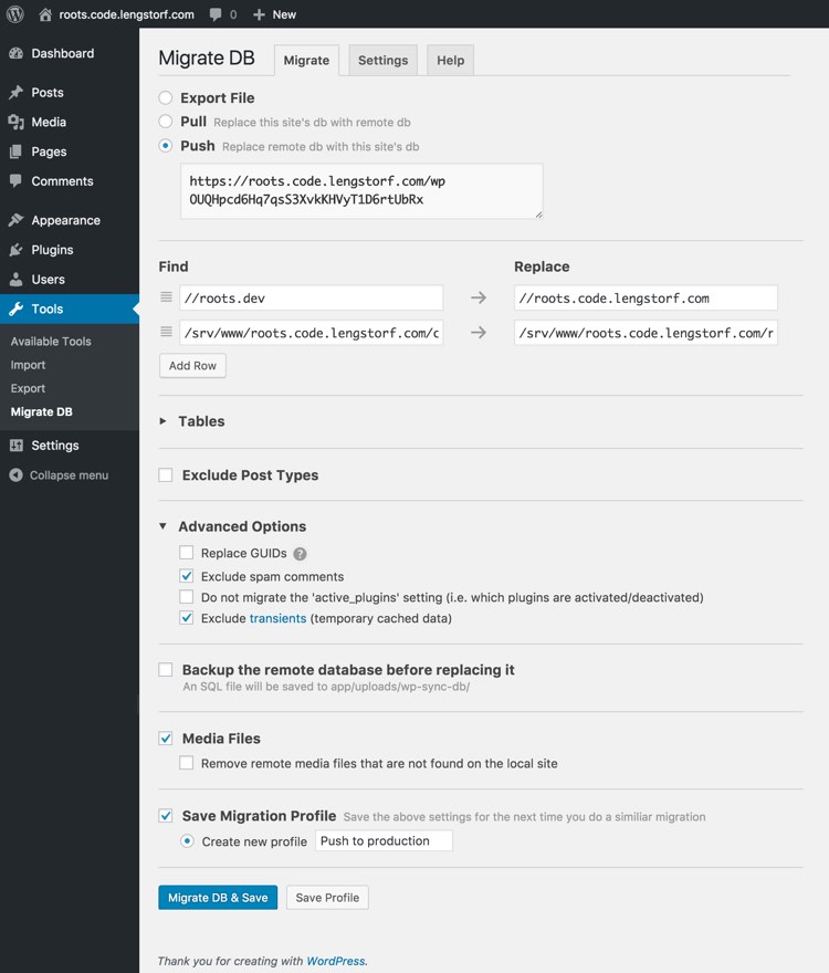 Settings for the WP Sync DB plugin on the development site.